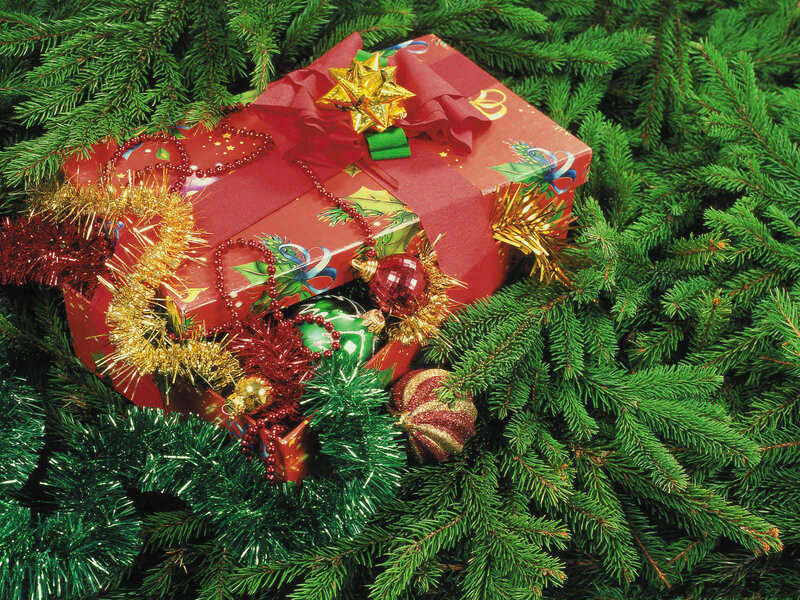 Christmas gift in pine branches