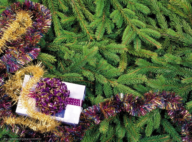 Christmas gift on pine branches