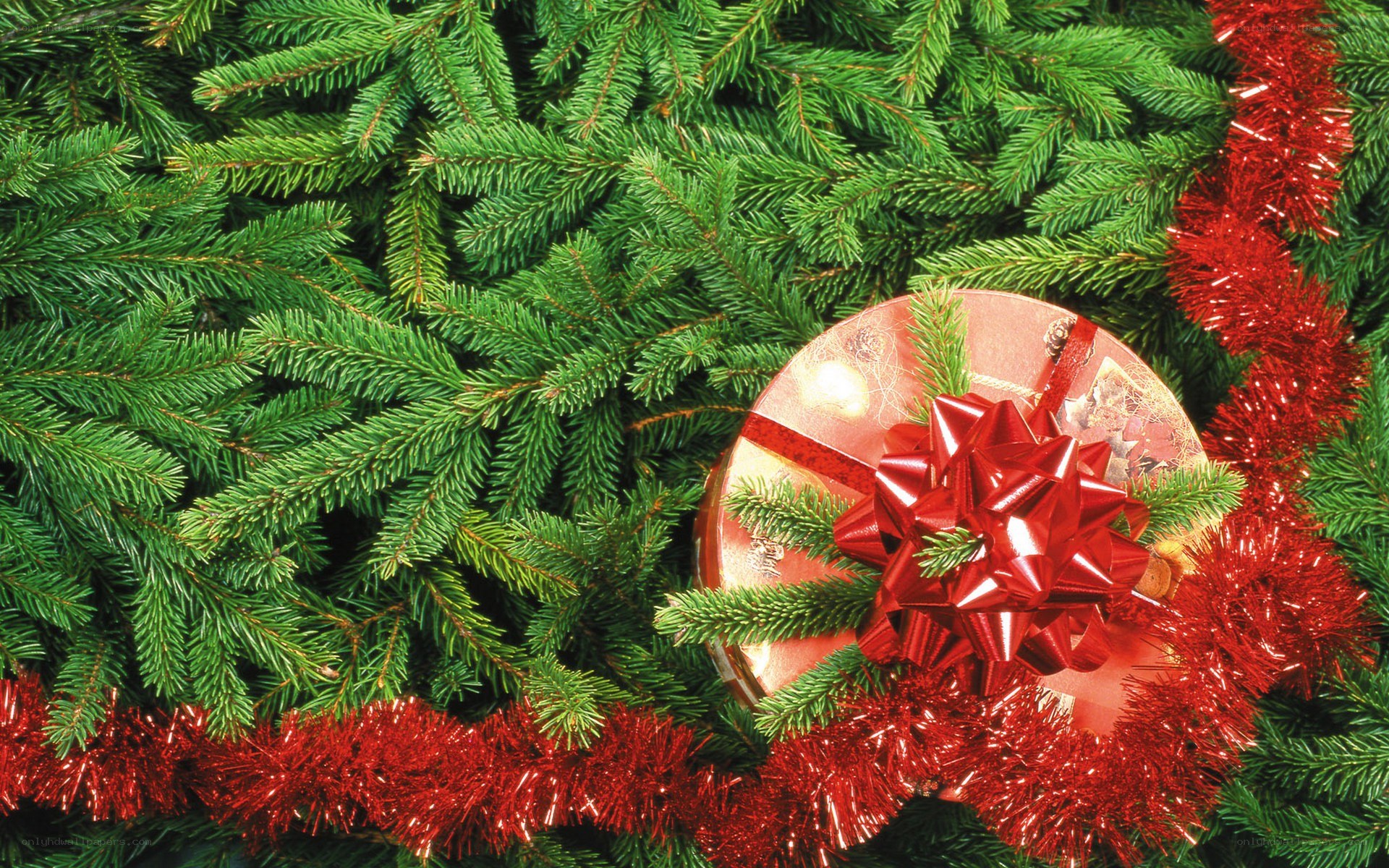 Christmas gift under tree