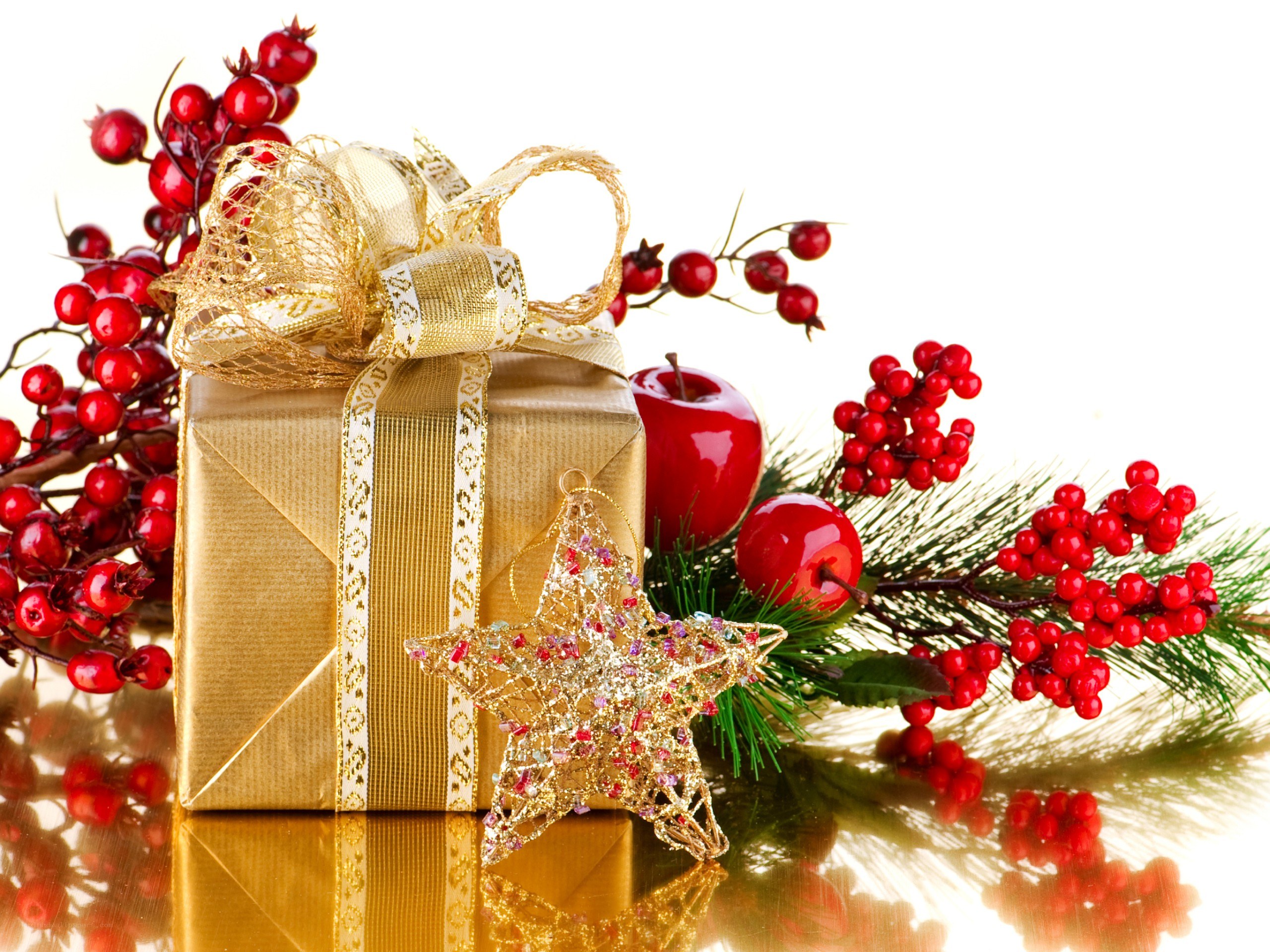 Christmas gift with berries