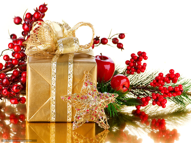 Christmas gift with berries