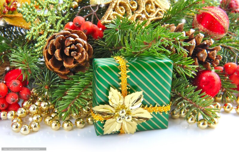 Christmas gift with pine branches