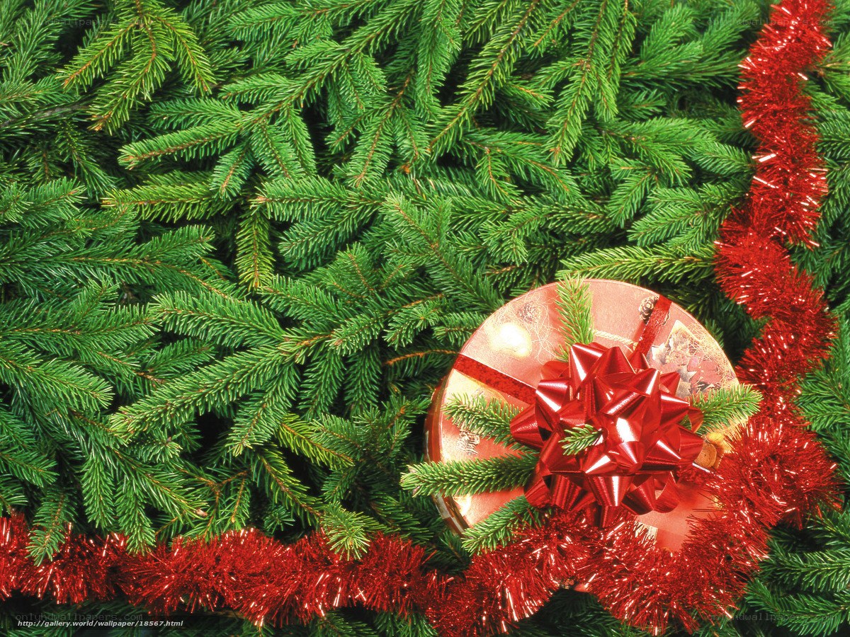 Christmas gift with red bow