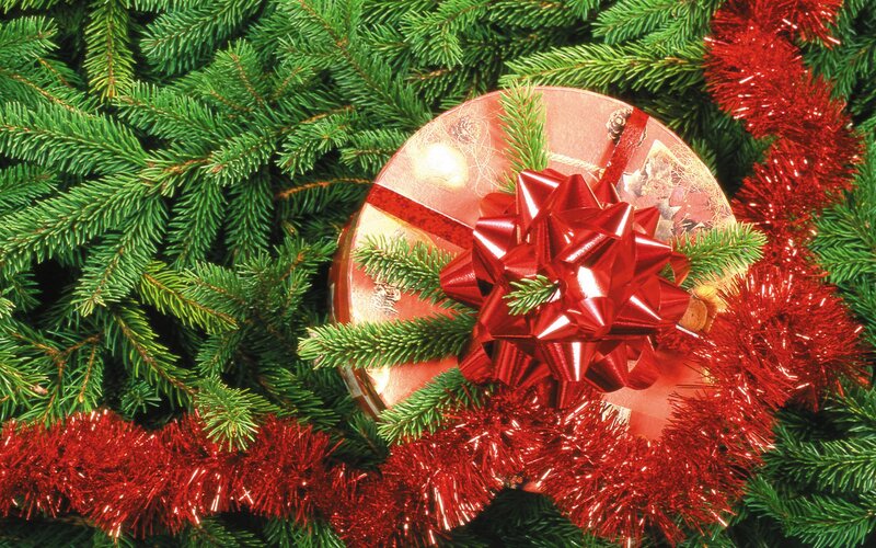 Christmas gift with red bow