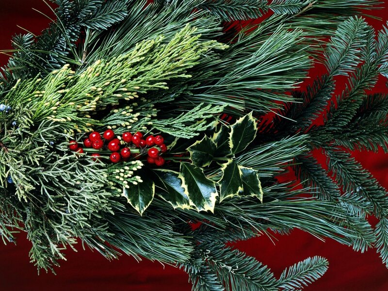 Christmas greenery arrangement