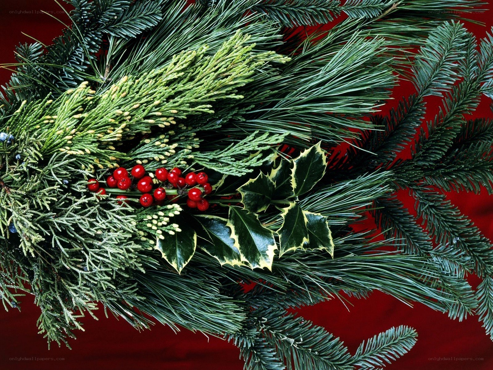Christmas greenery arrangement