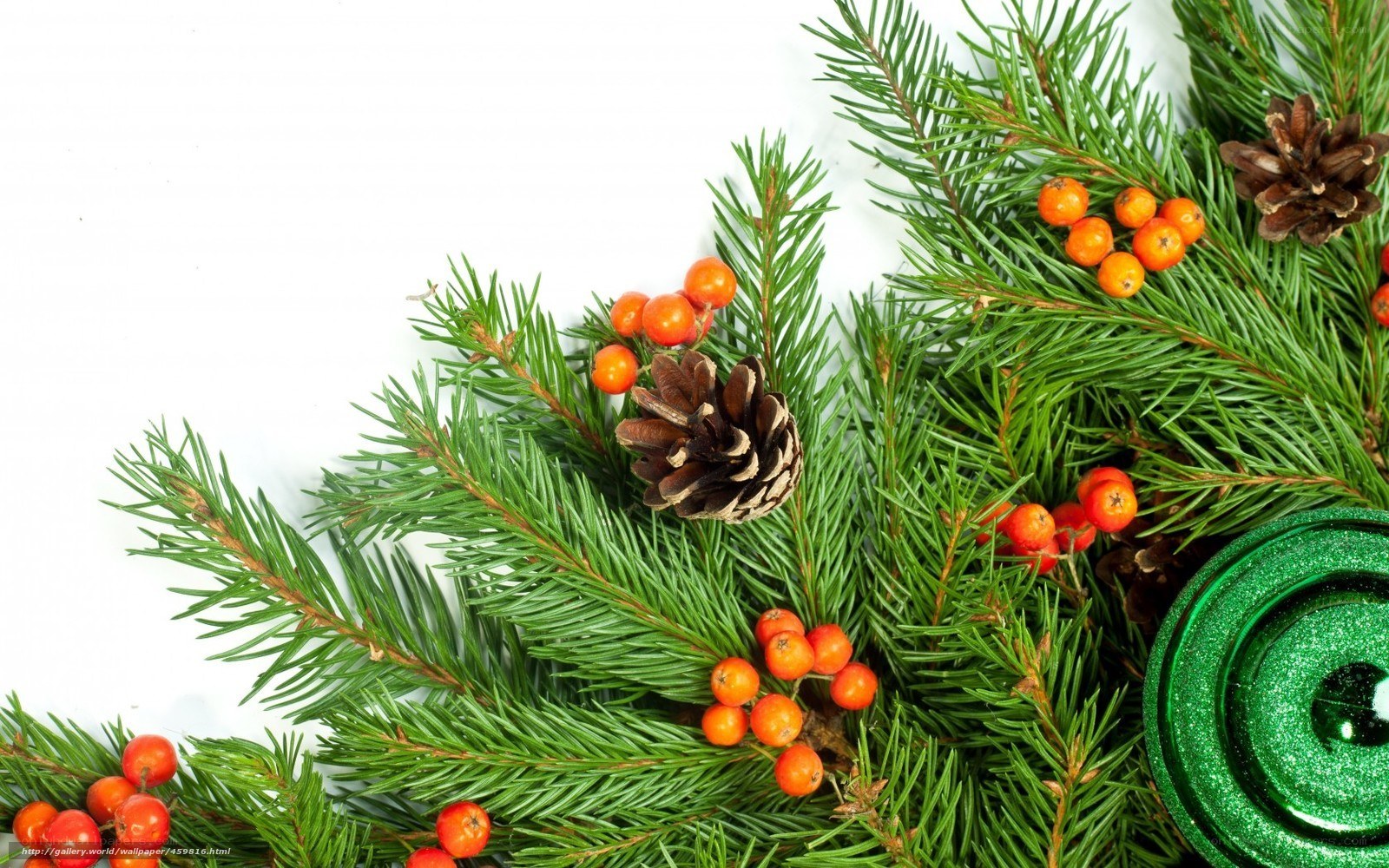Christmas greenery with berries