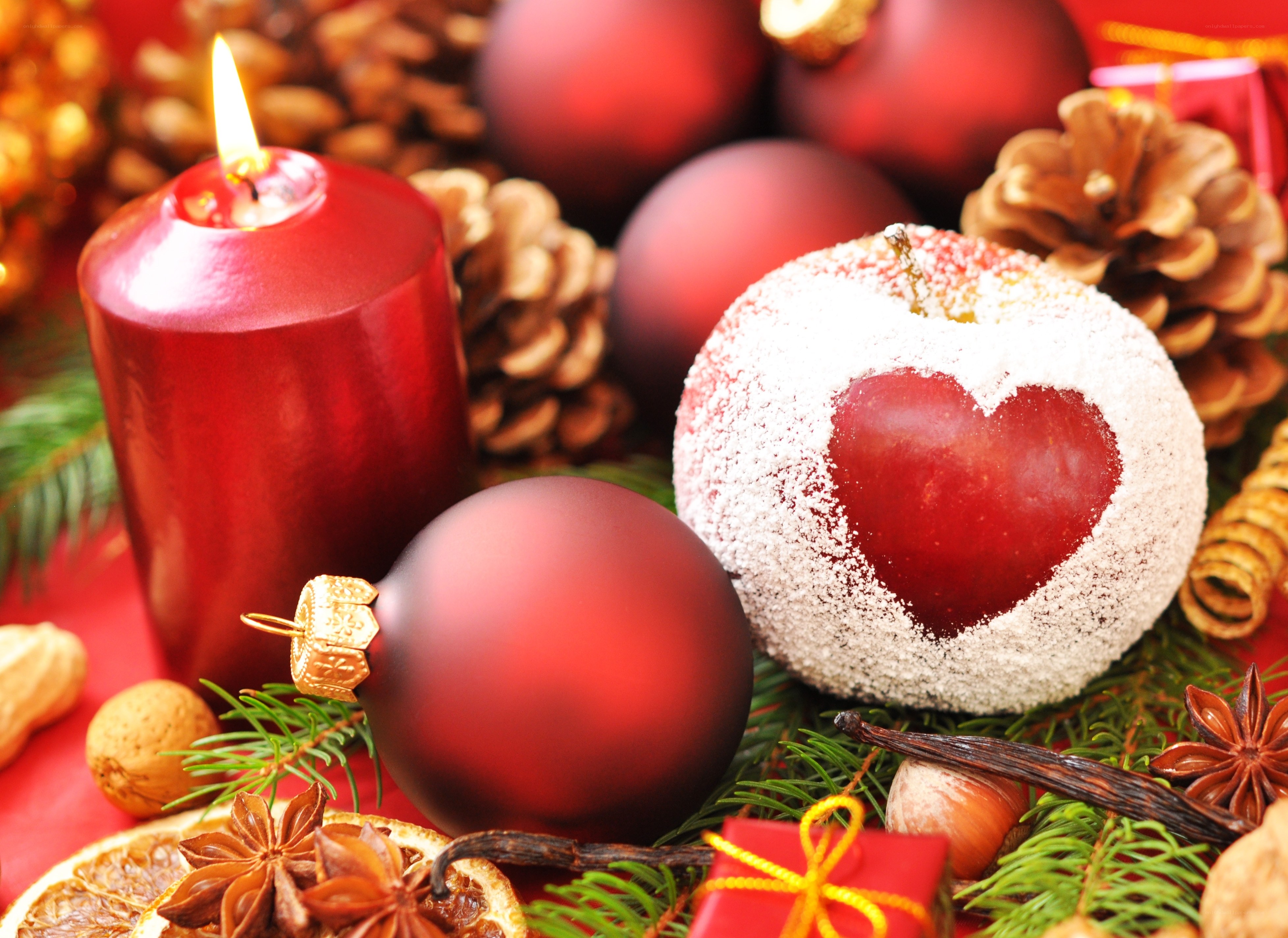 Christmas holiday arrangement