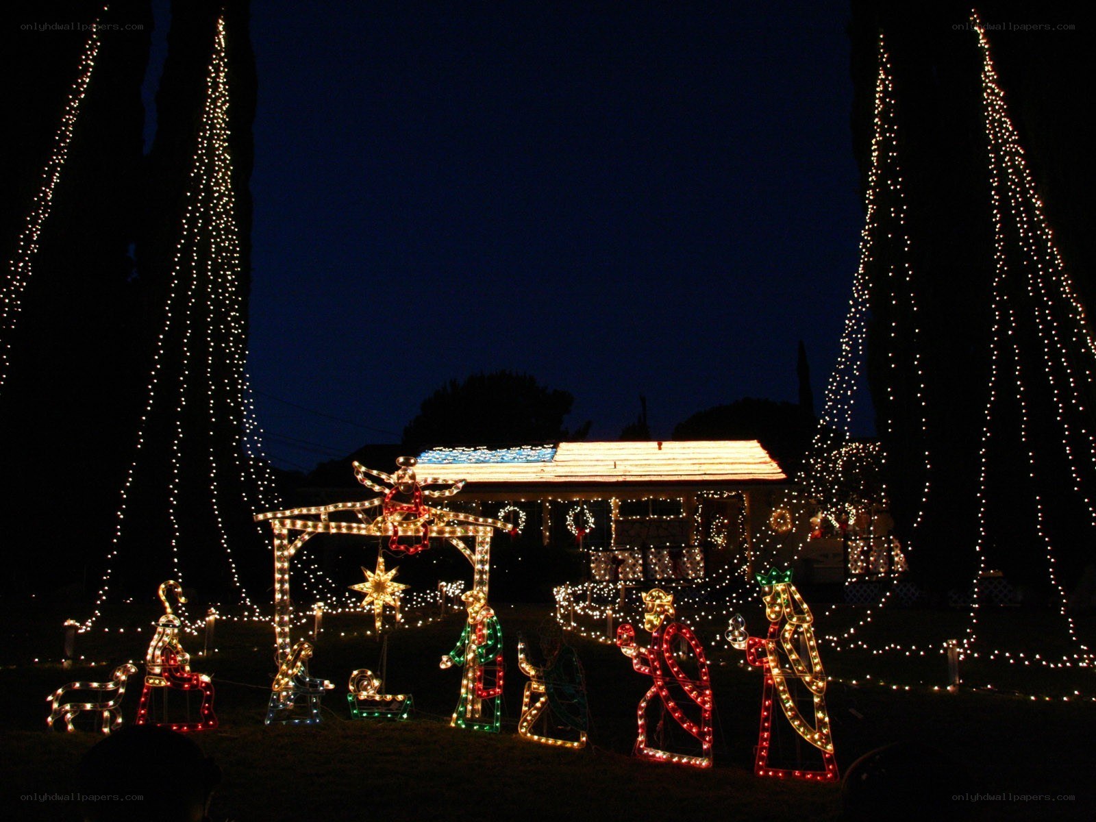 Christmas light display at night
