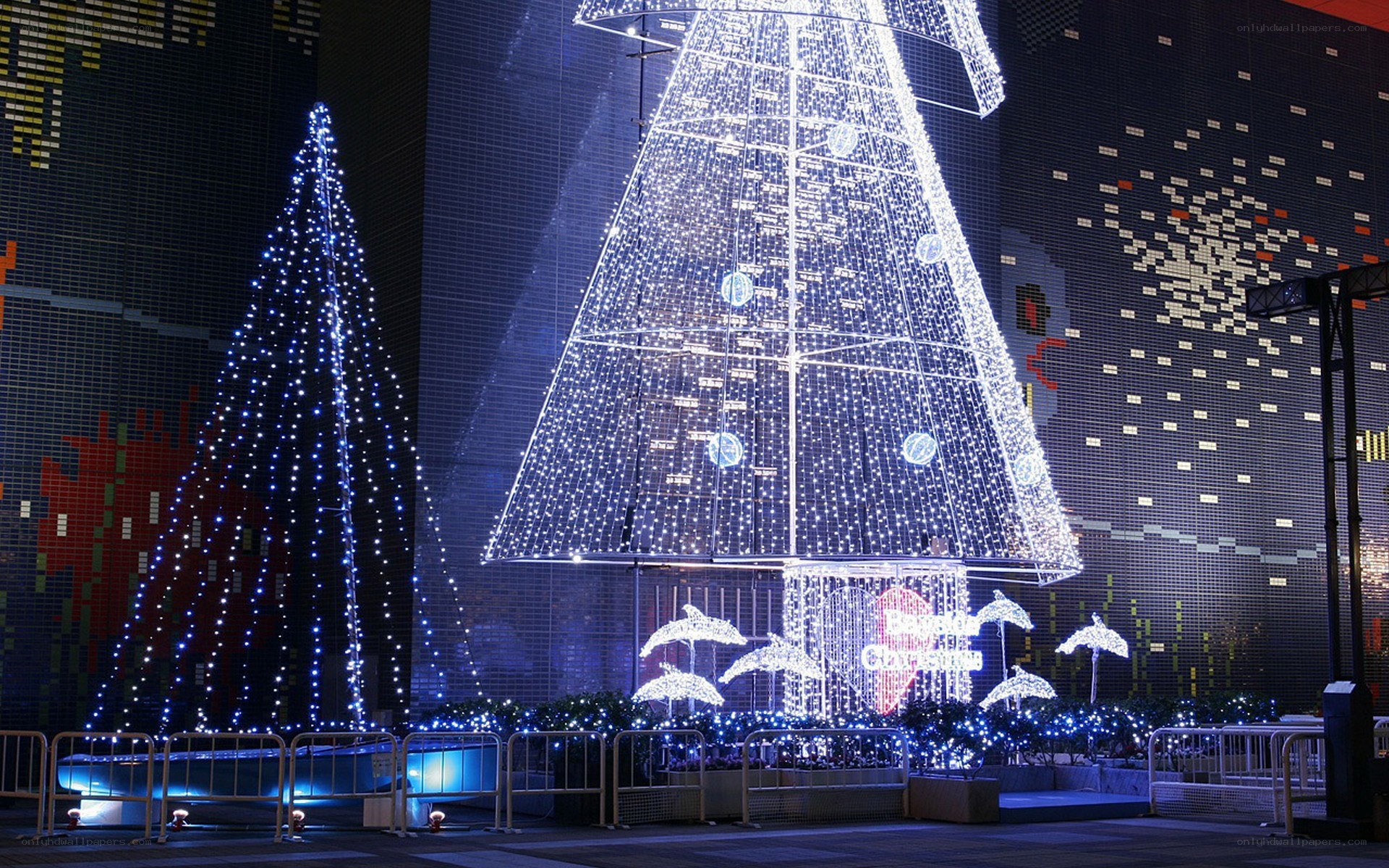 Christmas light display at night