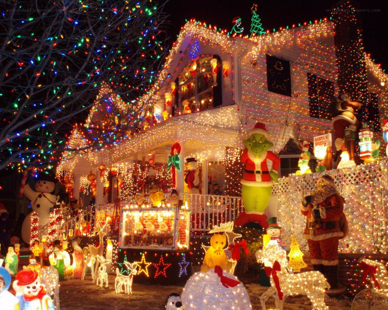 Christmas lights and decorations