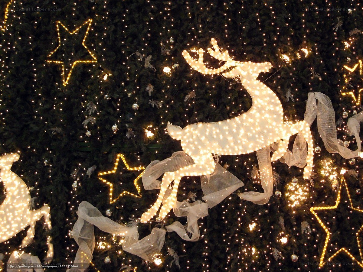 Christmas lights and reindeer