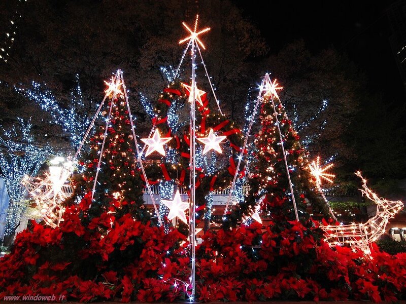 Christmas lights display