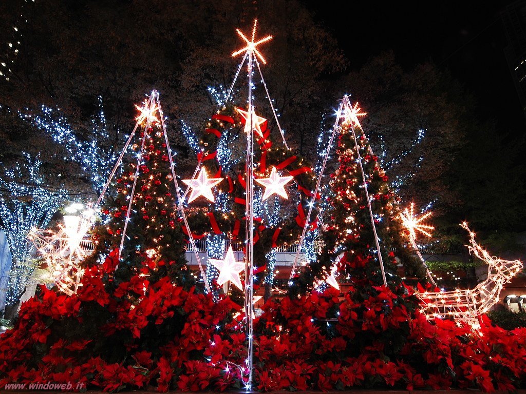 Christmas lights display