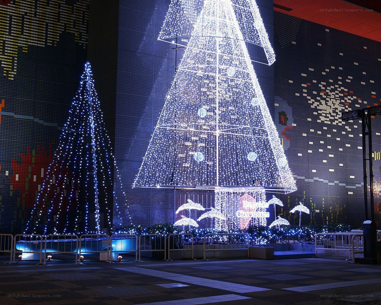 Christmas lights display at night