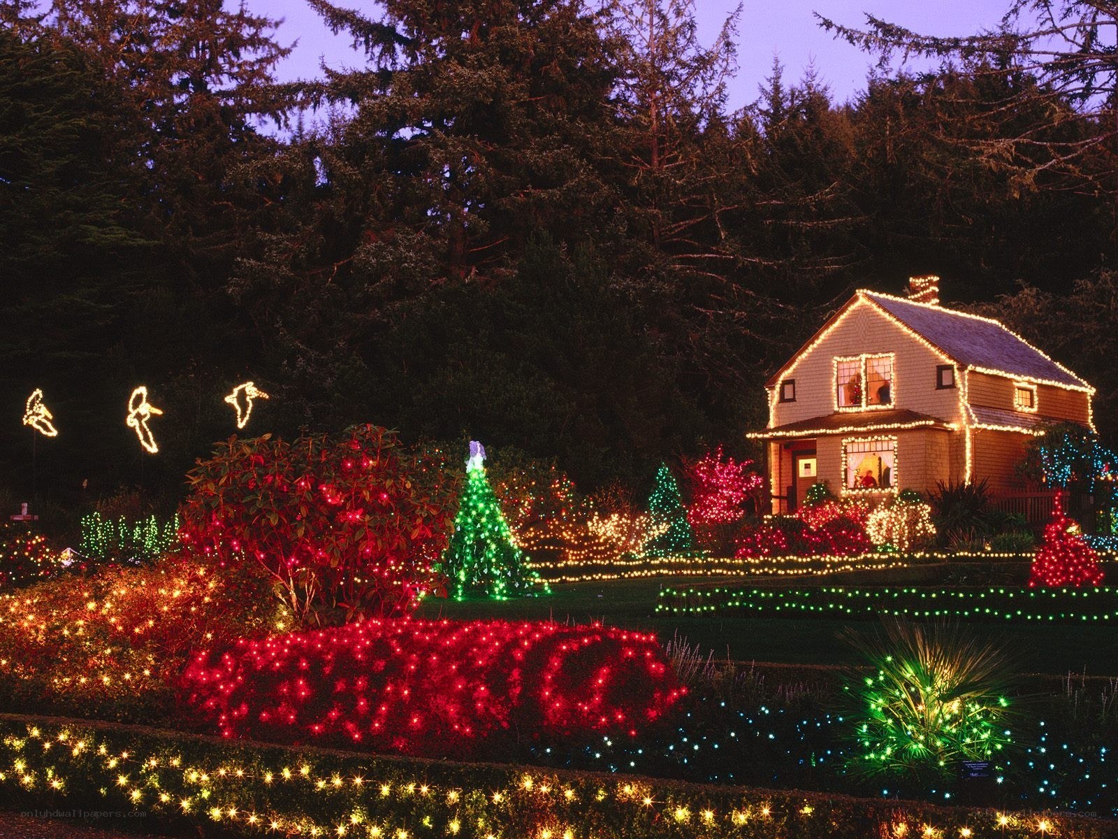 Christmas lights display at night