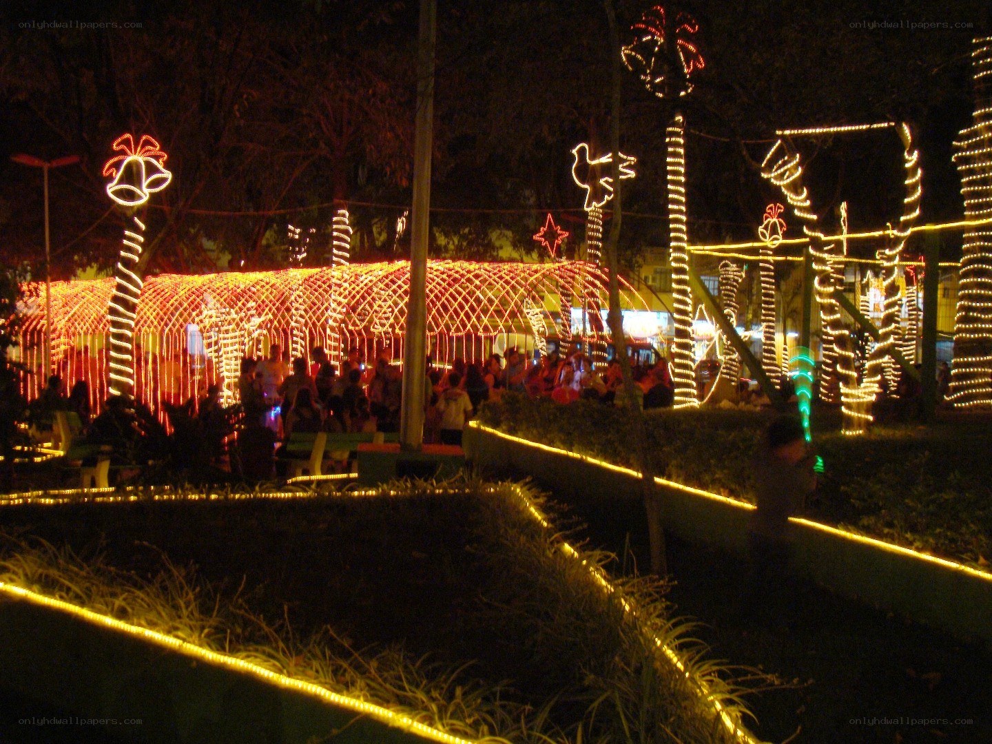 Christmas lights display at night