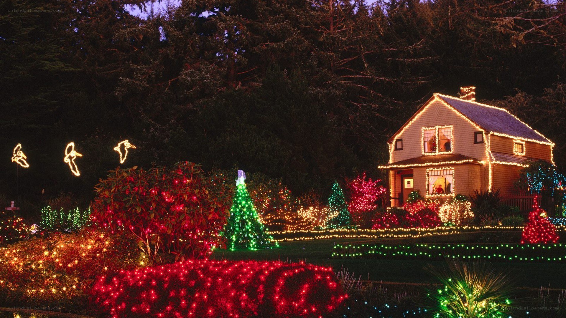 Christmas lights display at night