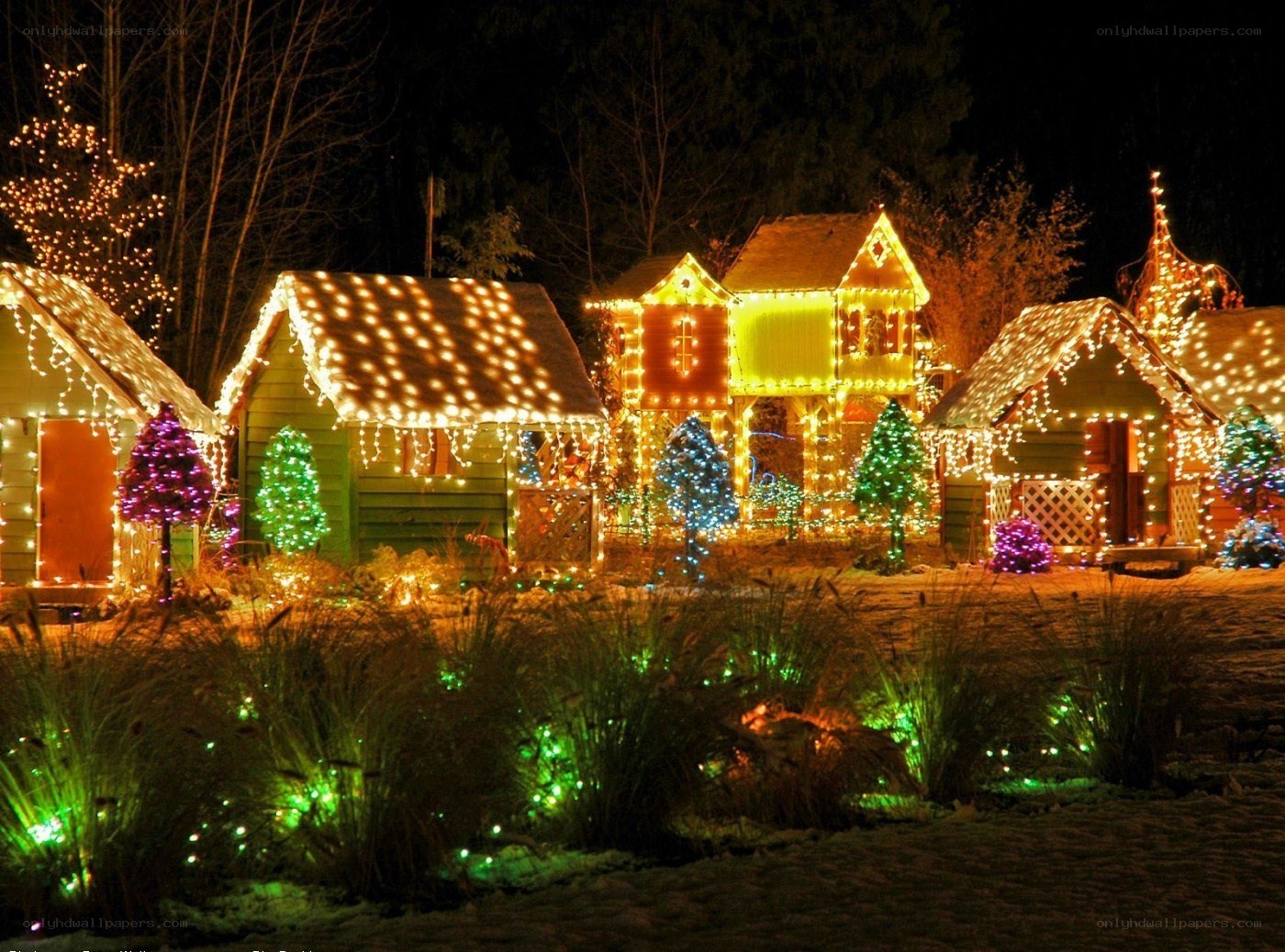 Christmas lights display at night