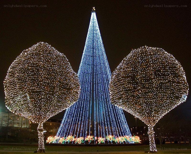 Christmas lights display at night