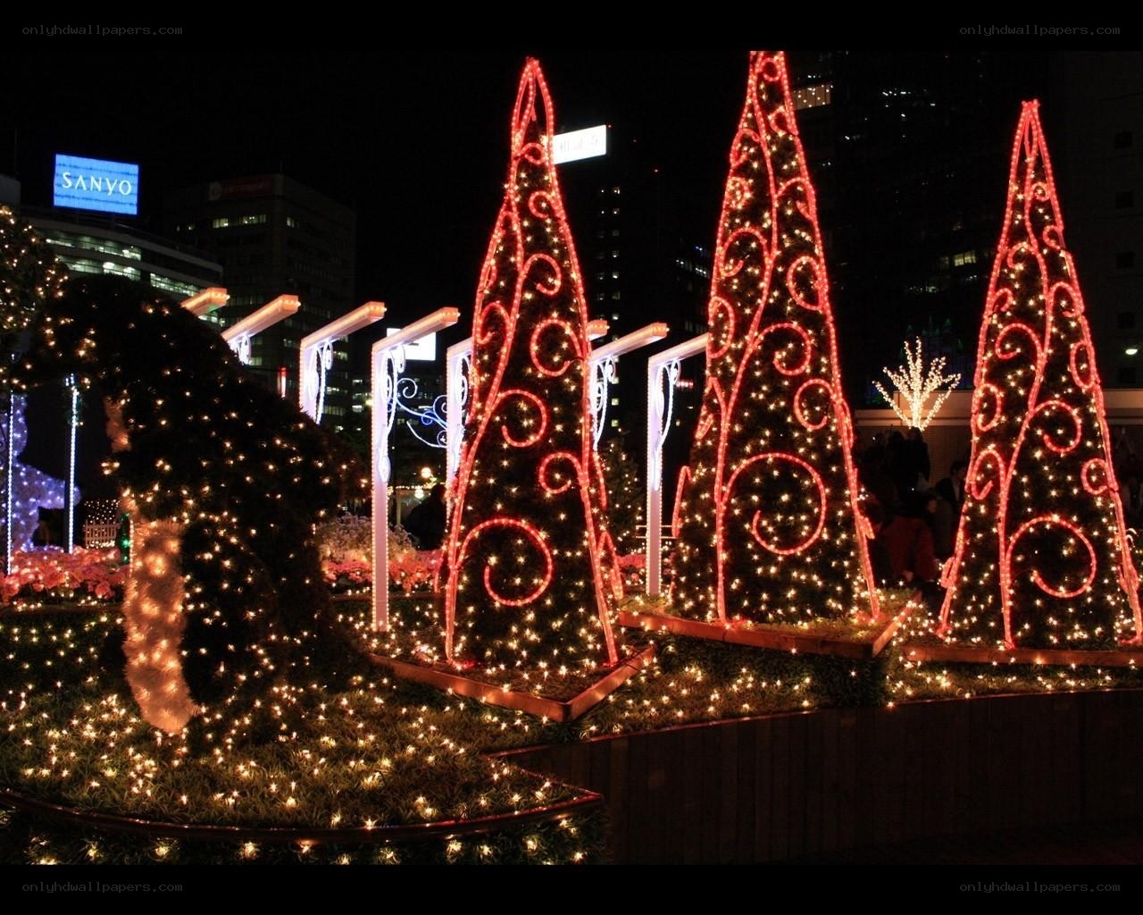 Christmas lights display at night