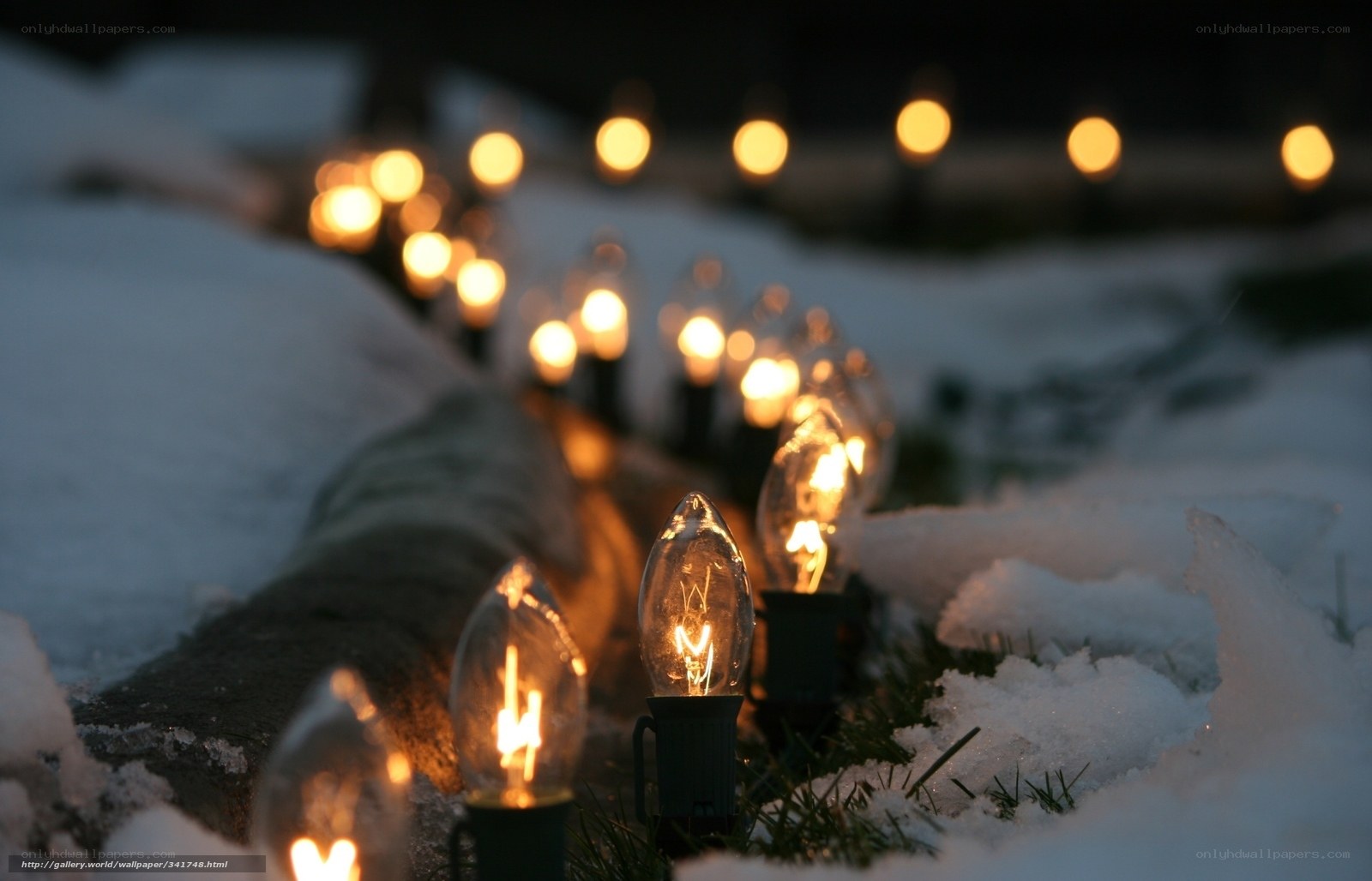 Christmas lights in snow