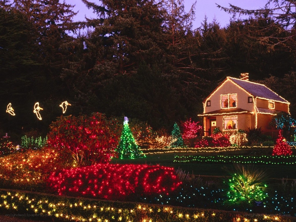 Christmas lights on a house