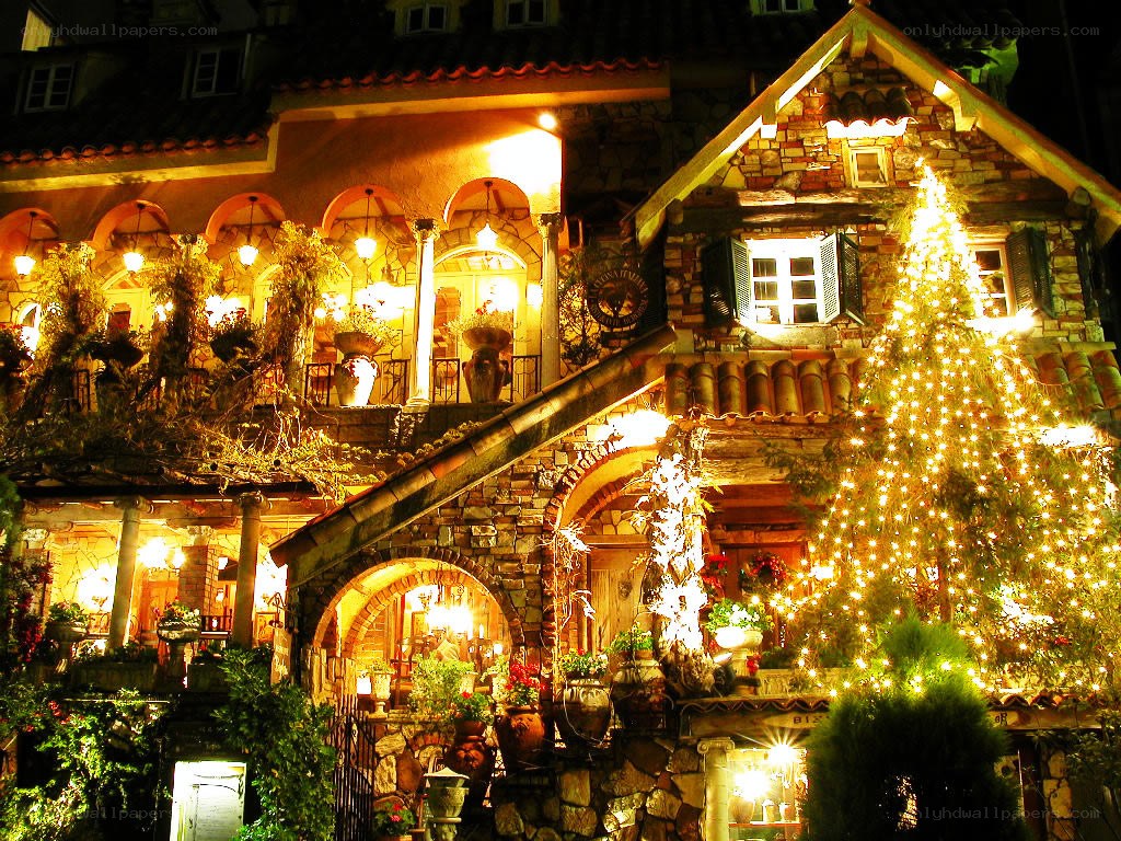 Christmas lights on a stone house