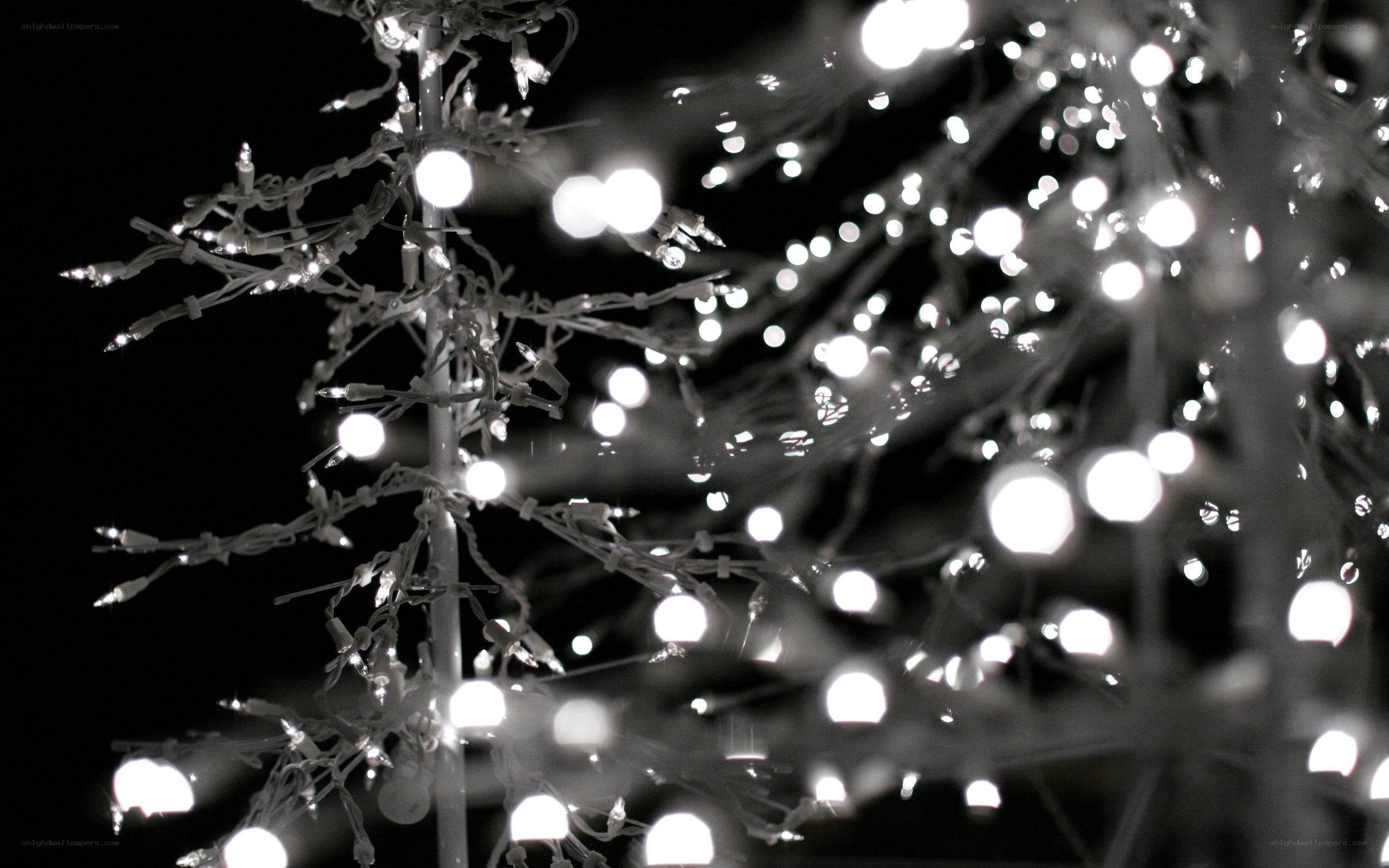Christmas lights on a tree