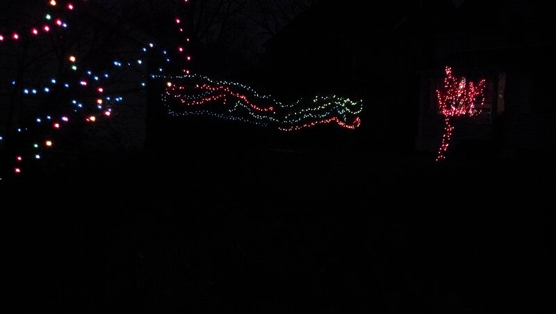 Christmas Lights on Trees — Red