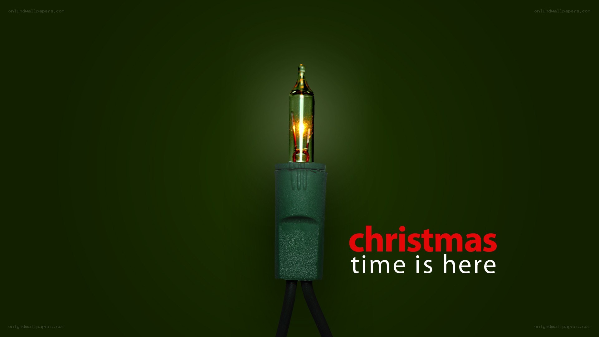 Christmas lights with text