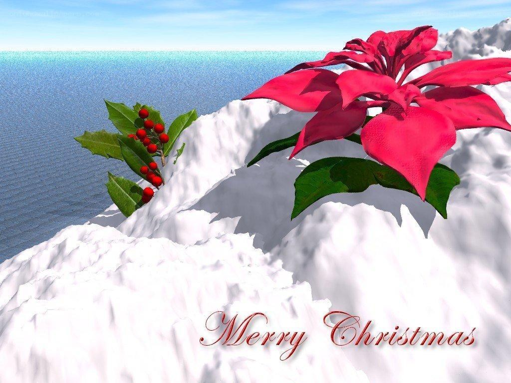 Christmas on a snowy cliff