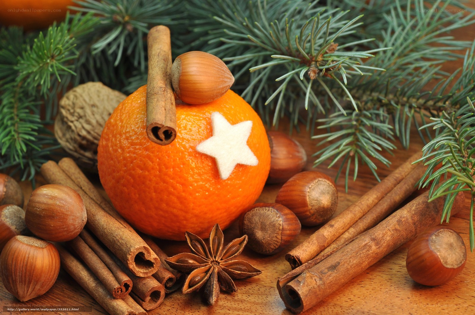 Christmas orange with spices