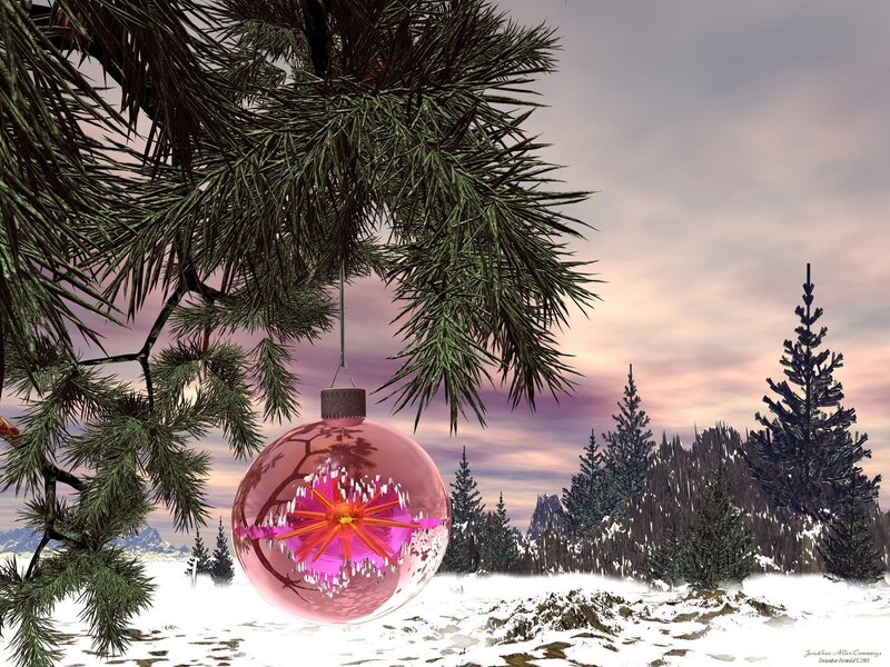 Christmas ornament in snowy forest
