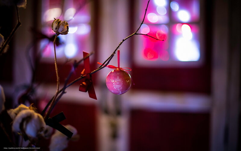 Christmas ornament on a branch