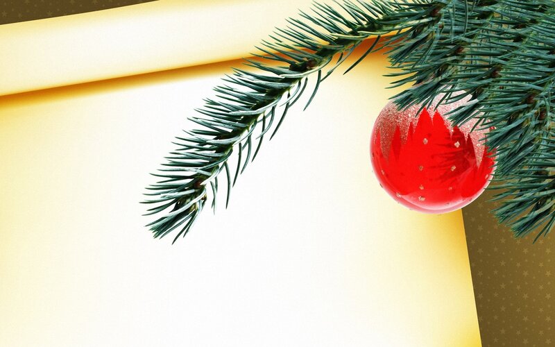 Christmas ornament on branch
