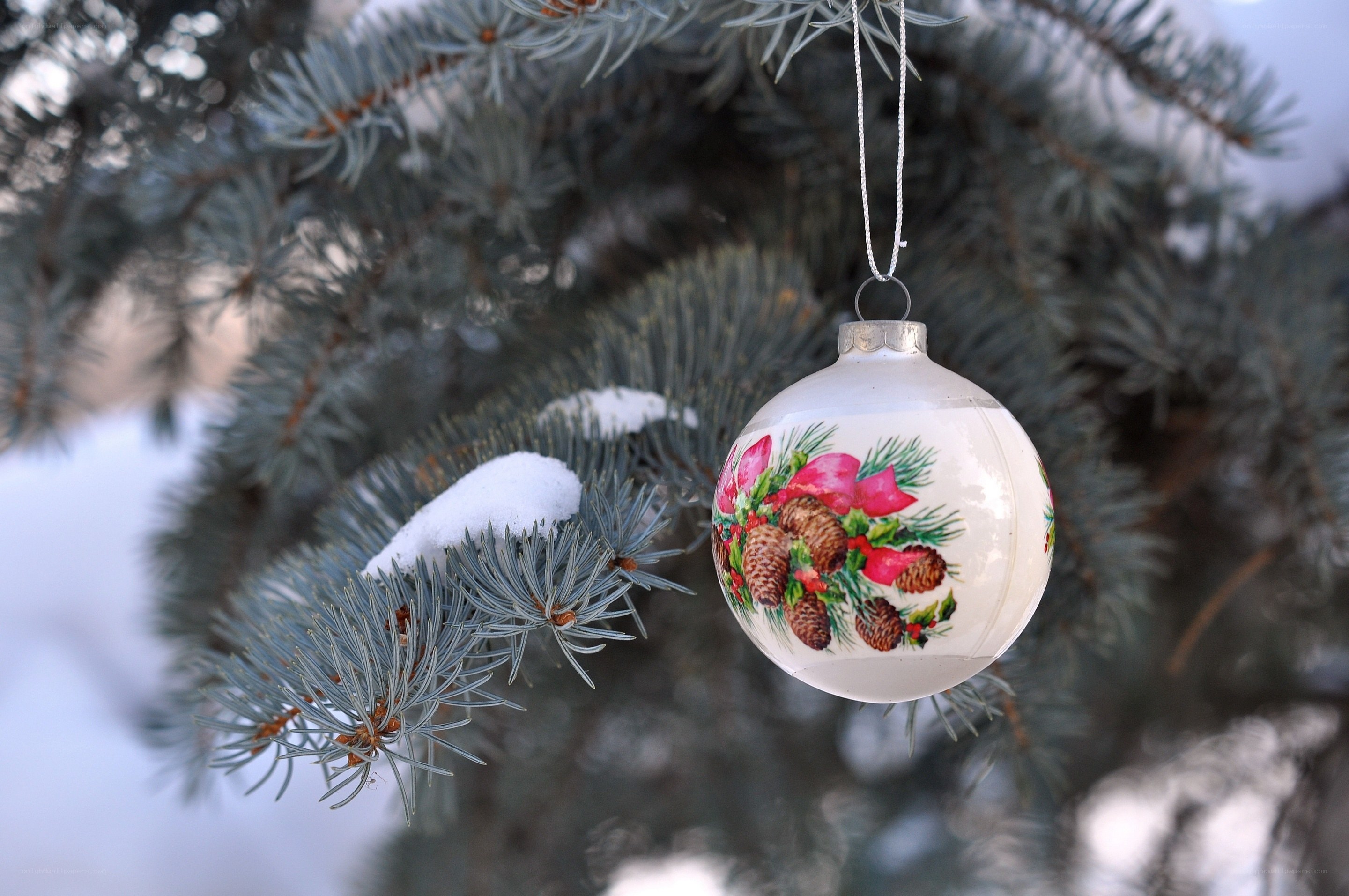 Christmas ornament on pine branch