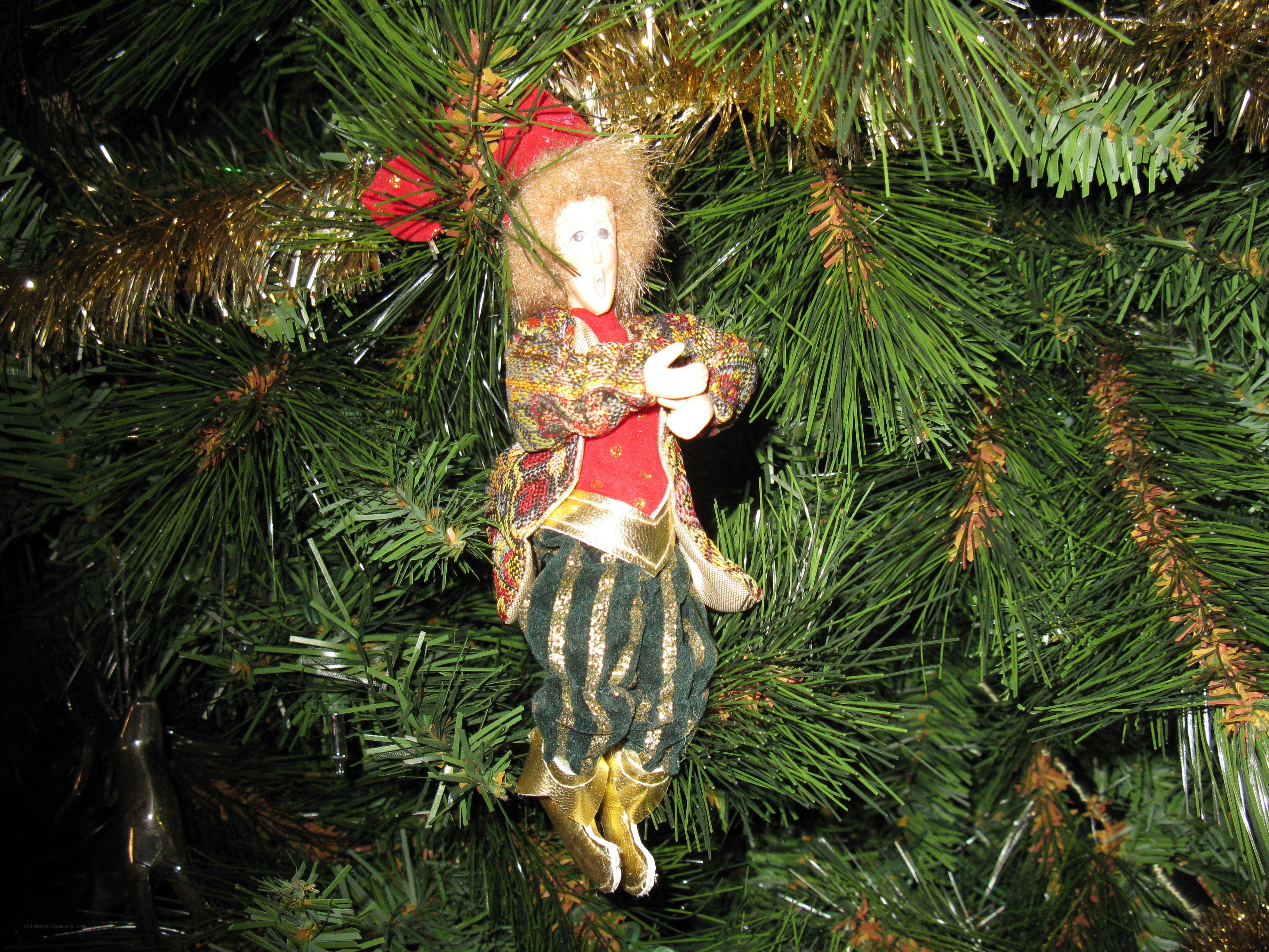 Christmas ornament on tree