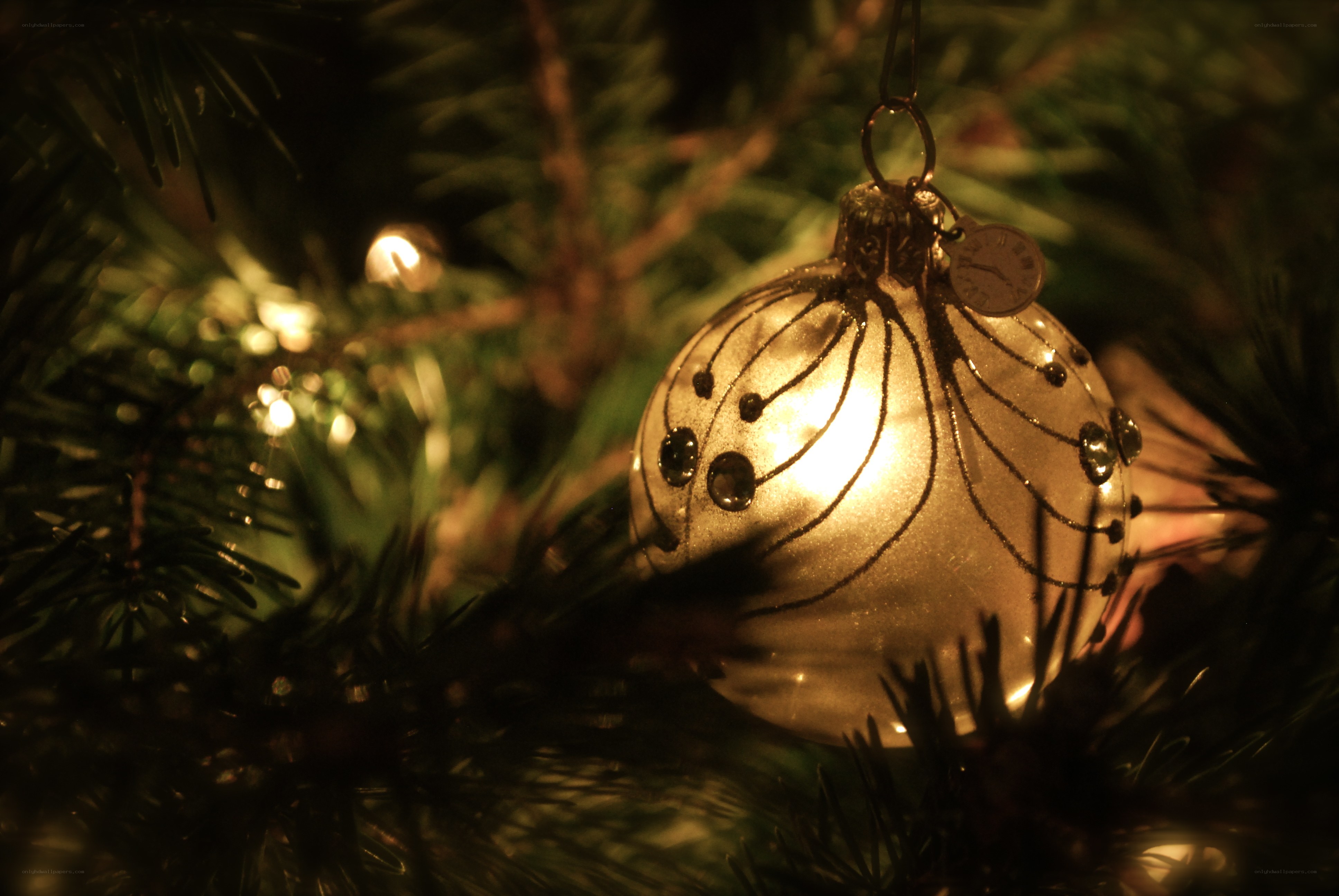 Christmas ornament on tree