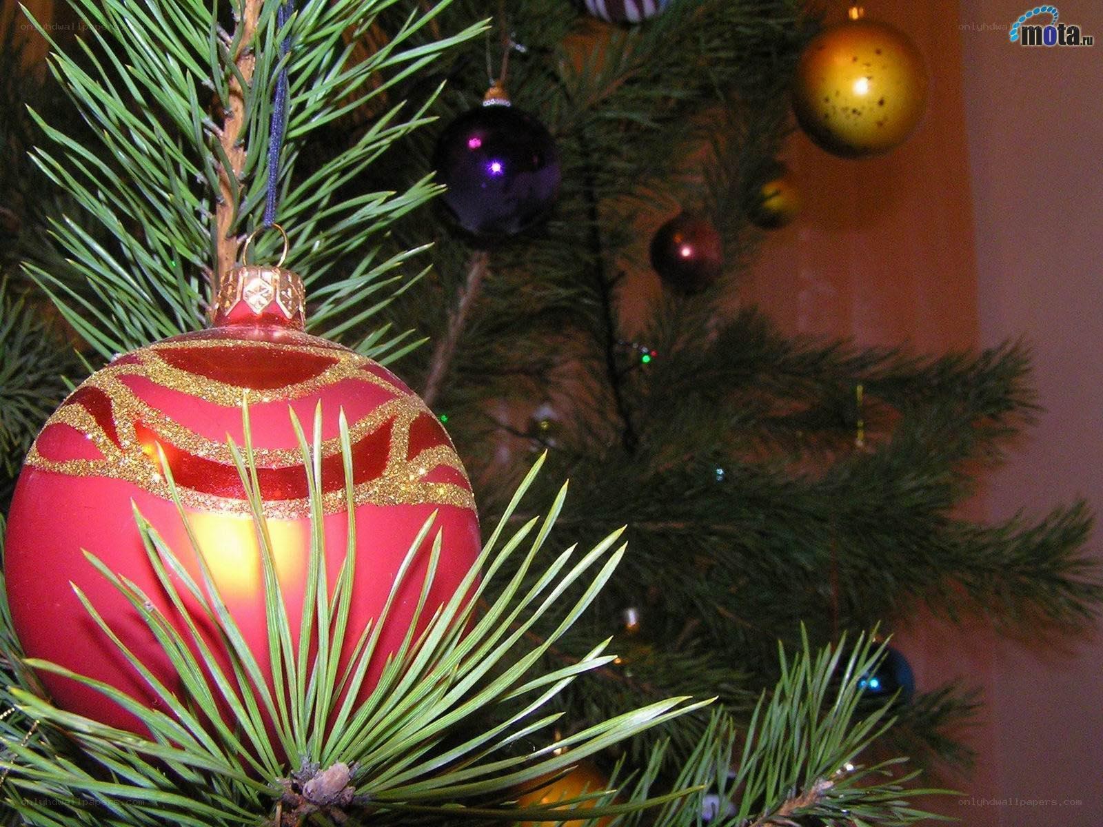 Christmas ornament on tree