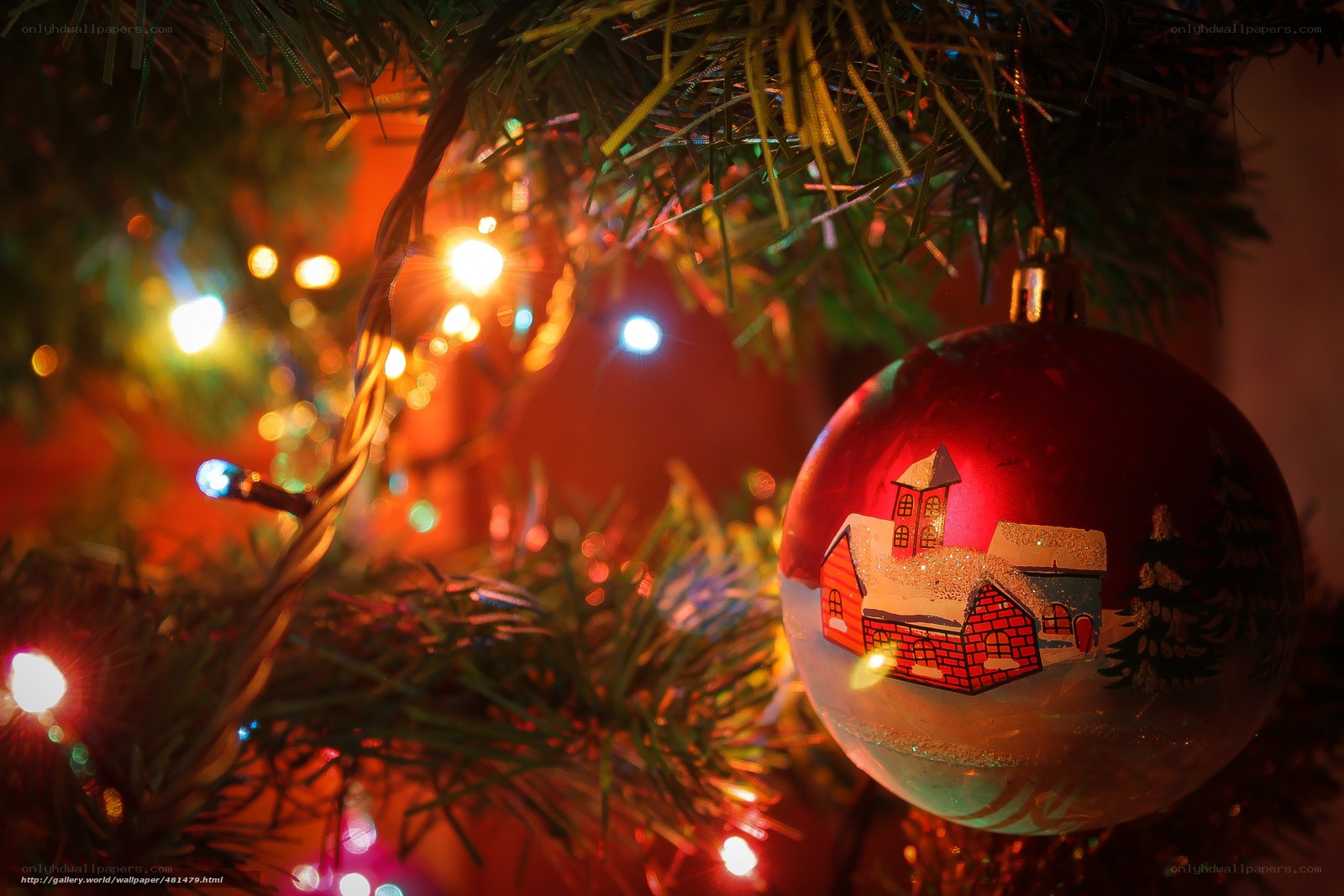 Christmas ornament on tree