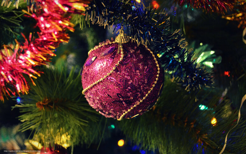 Christmas ornament on tree