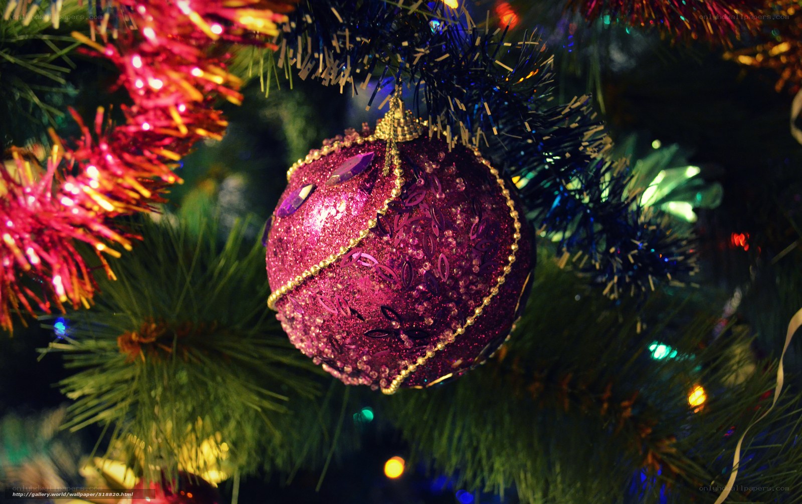 Christmas ornament on tree
