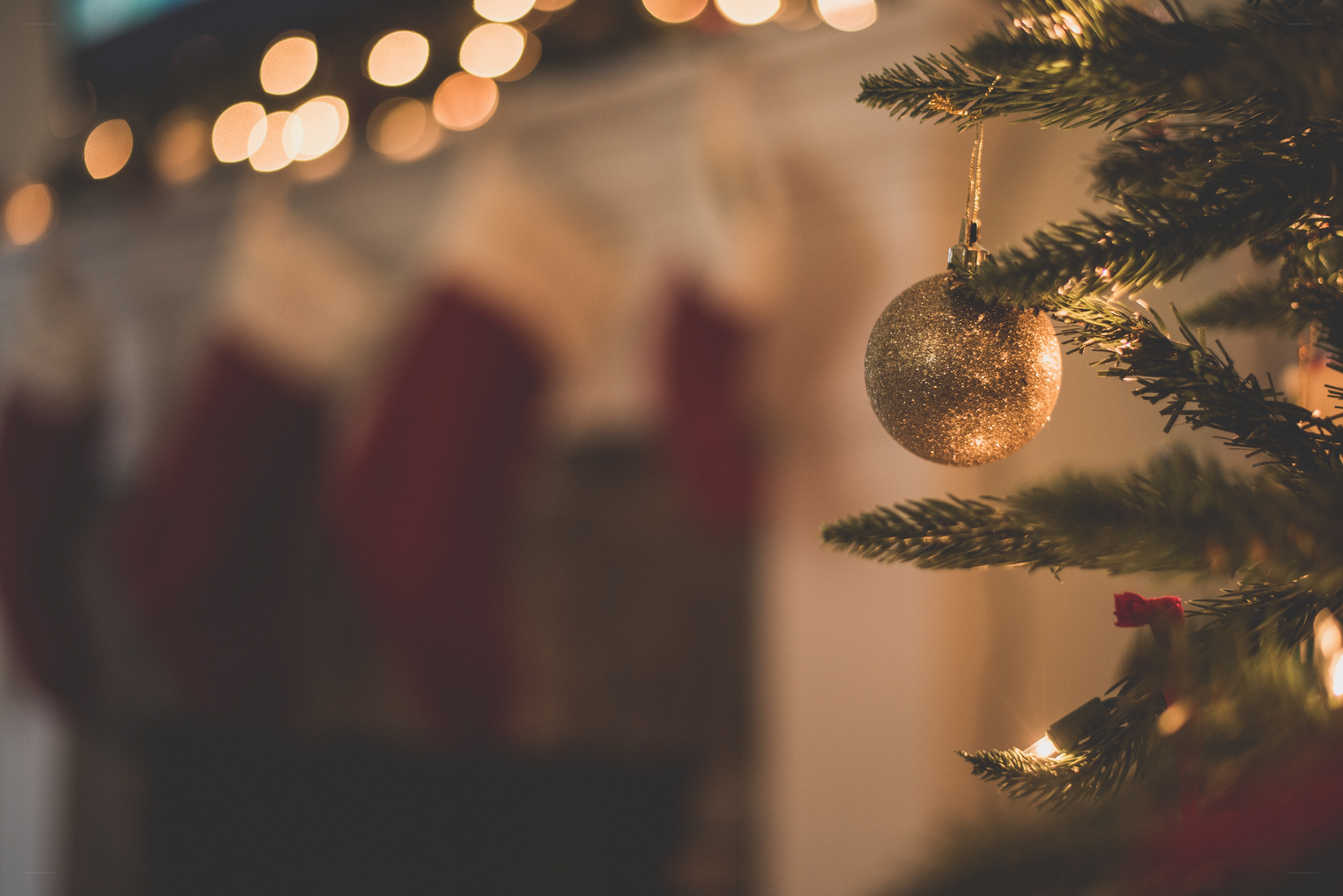 Christmas ornament on tree
