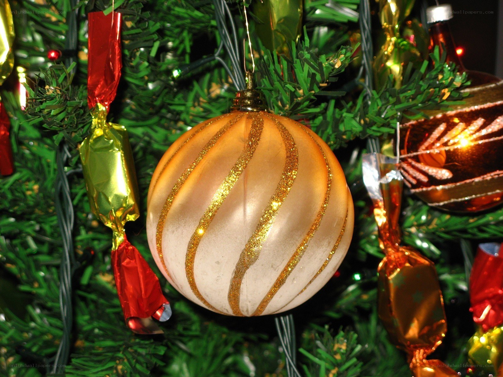 Christmas ornament on tree