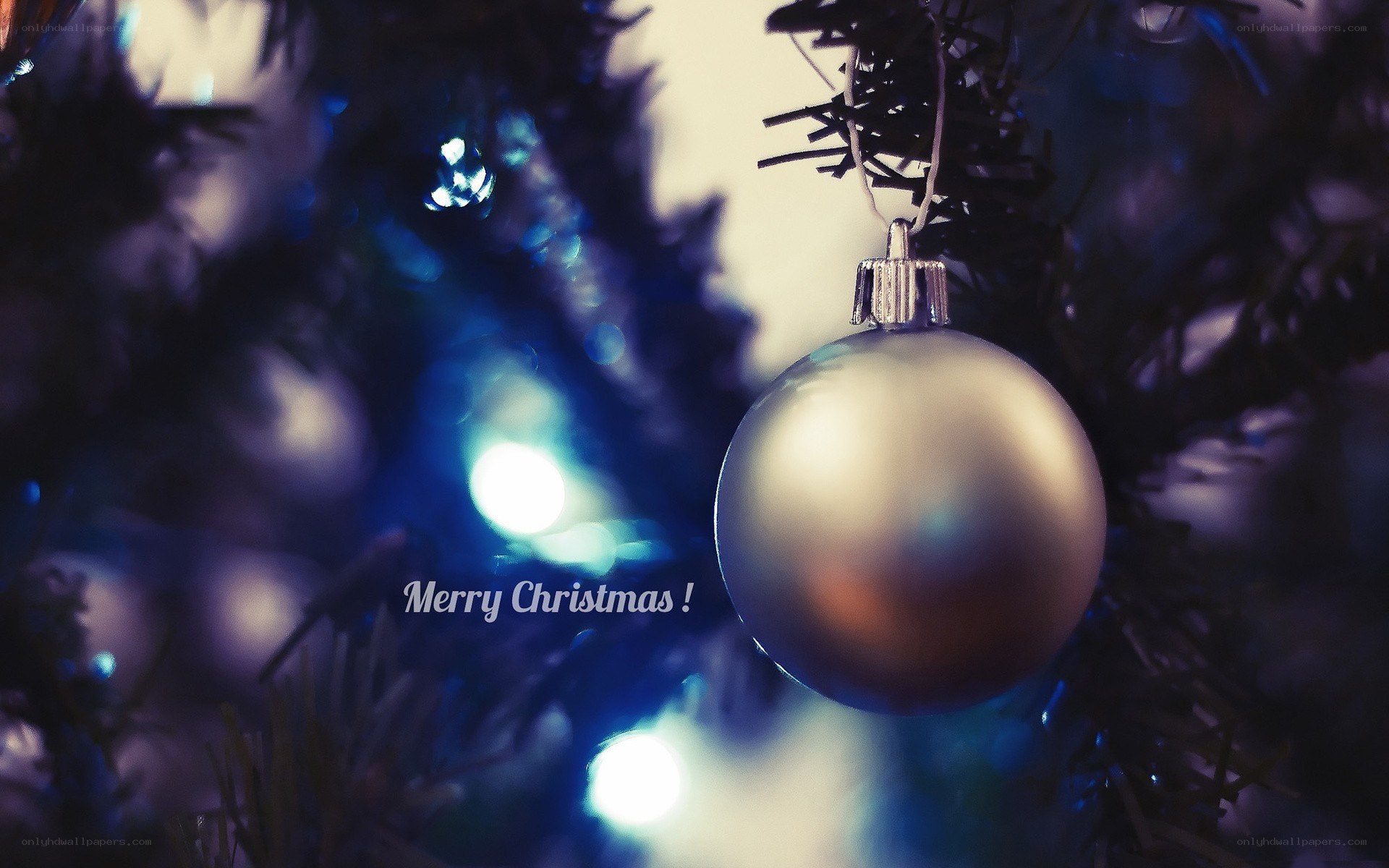 Christmas ornament on tree