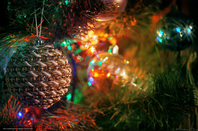 Christmas Ornament on Tree — Green, Festive, Night, Photograph, Lights