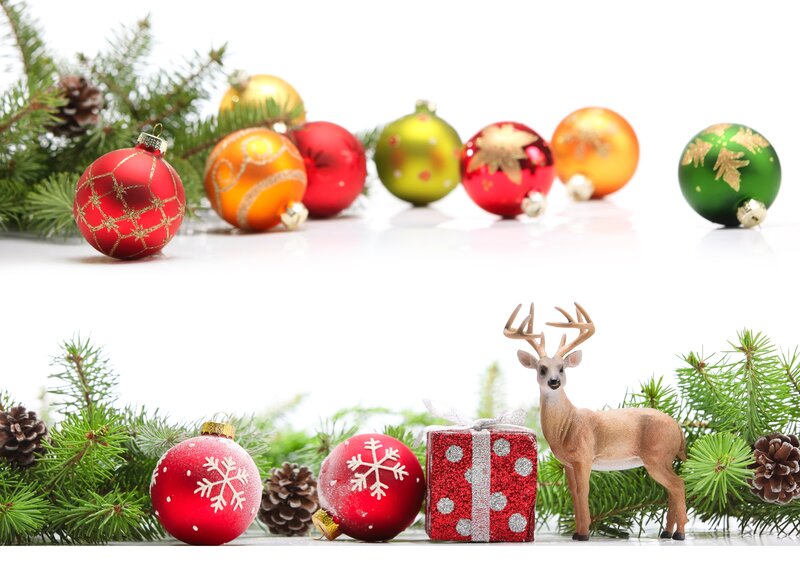 Christmas Ornaments and Deer