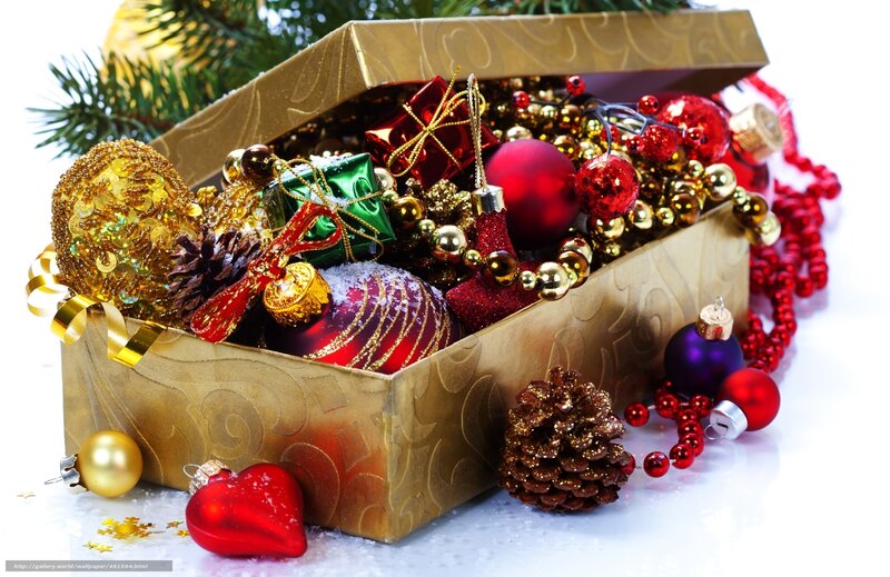Christmas Ornaments in Box — Gold, Festive, Winter, Photograph, Pine Cones, Garland