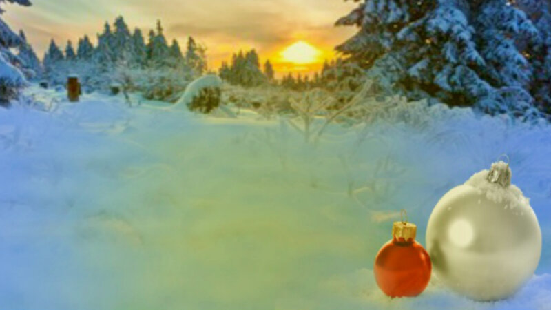 Christmas Ornaments in Snow — White, Serene